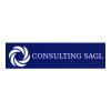 Consulting Sagl